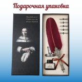Подарочный набор SoulArt, перьевые перья для каллиграфии, 6 шт, в подарочной упаковке