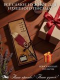 Перьевая ручка, набор для каллиграфии с чернилами, красное перо SoulArt 228559