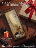 Перьевая ручка, набор для каллиграфии с чернилами, золотое перо SoulArt 228562