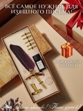Перьевая ручка, набор для каллиграфии с чернилами и подставкой, фиолетовое перо SoulArt 228739