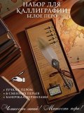 Перьевая ручка, набор для каллиграфии с чернилами, белое перо SoulArt 228743
