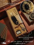 Перьевая ручка, набор для каллиграфии с чернилами, черное перо SoulArt 228744